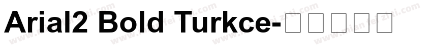 Arial2 Bold Turkce字体转换